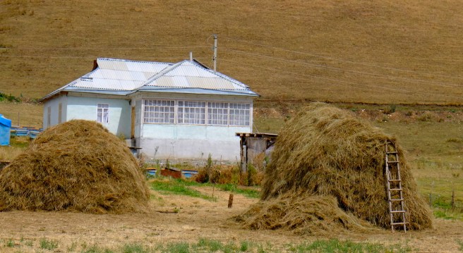 Kygryz-style house