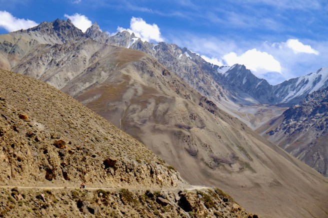 Can you find the little cyclist?