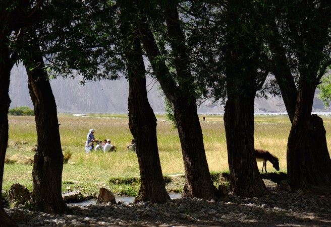 Resting from too much field work