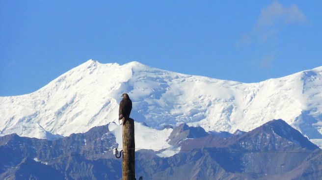 Photo session with Peak Lenin as a backdrop