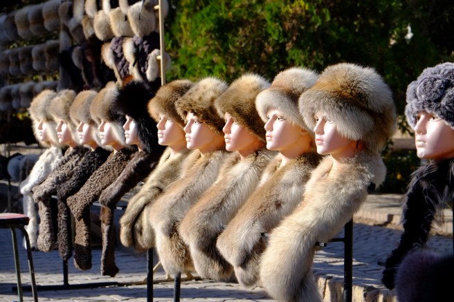 Winter is approaching