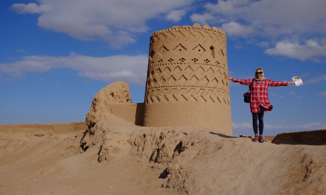 At the Maybod castle