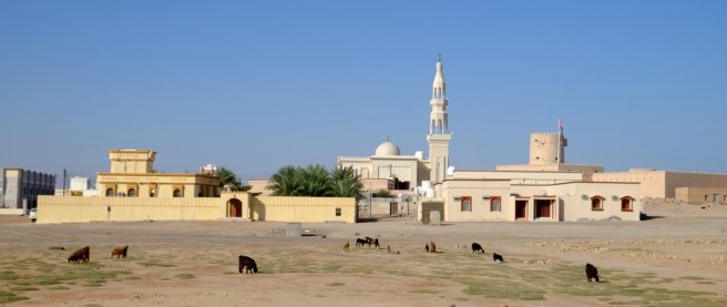 Still one more day cycling along the coast