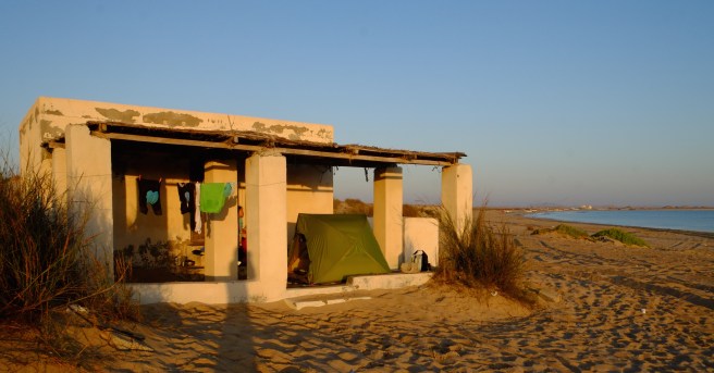 Found the perfect spot