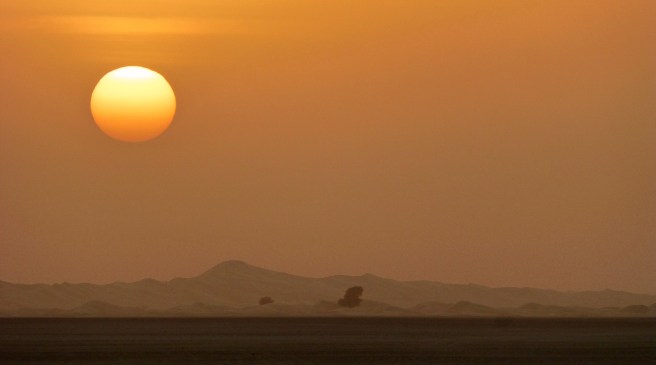 Desert sunset