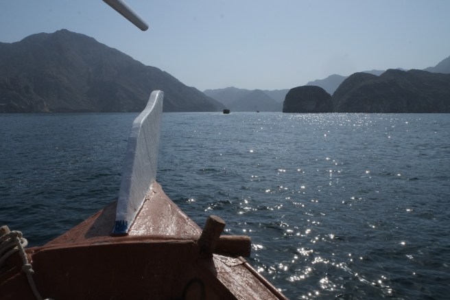 Dolphin watching cruise