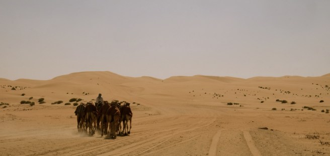 Yes, there are still unmotorized vehicles in the desert
