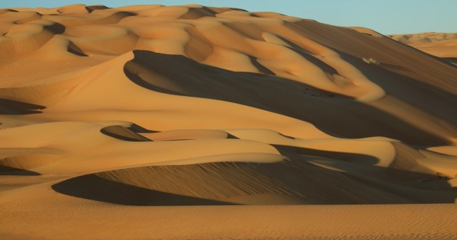 Ever changing colors