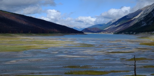 Maligne Lake...